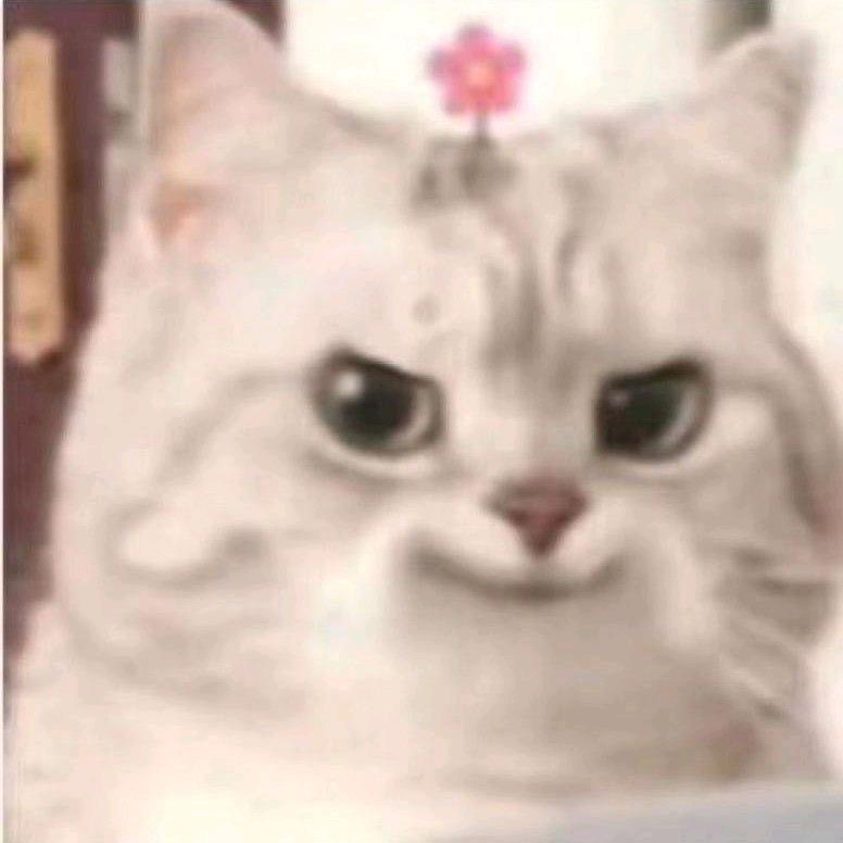 迷人的鸽子蛋