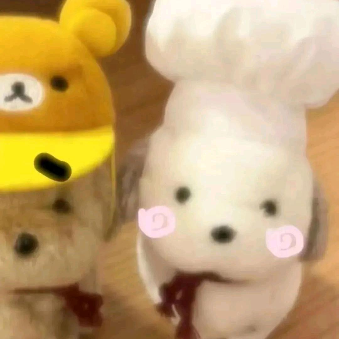别让我跑操行吗