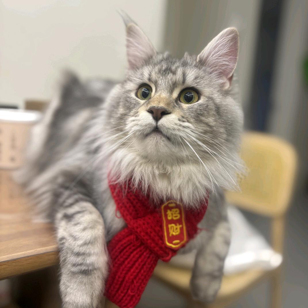 🦅Enjoy卓越👨🏻‍🏫