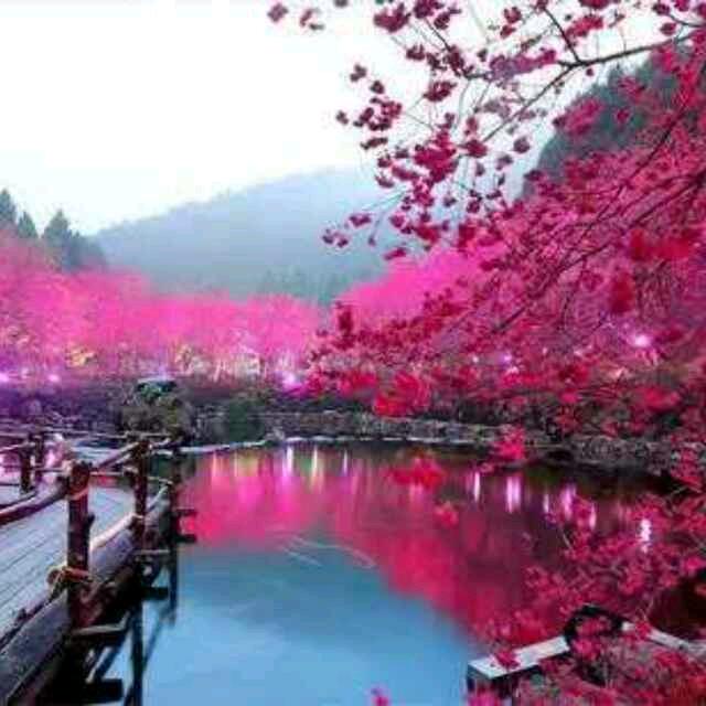 岁月静好