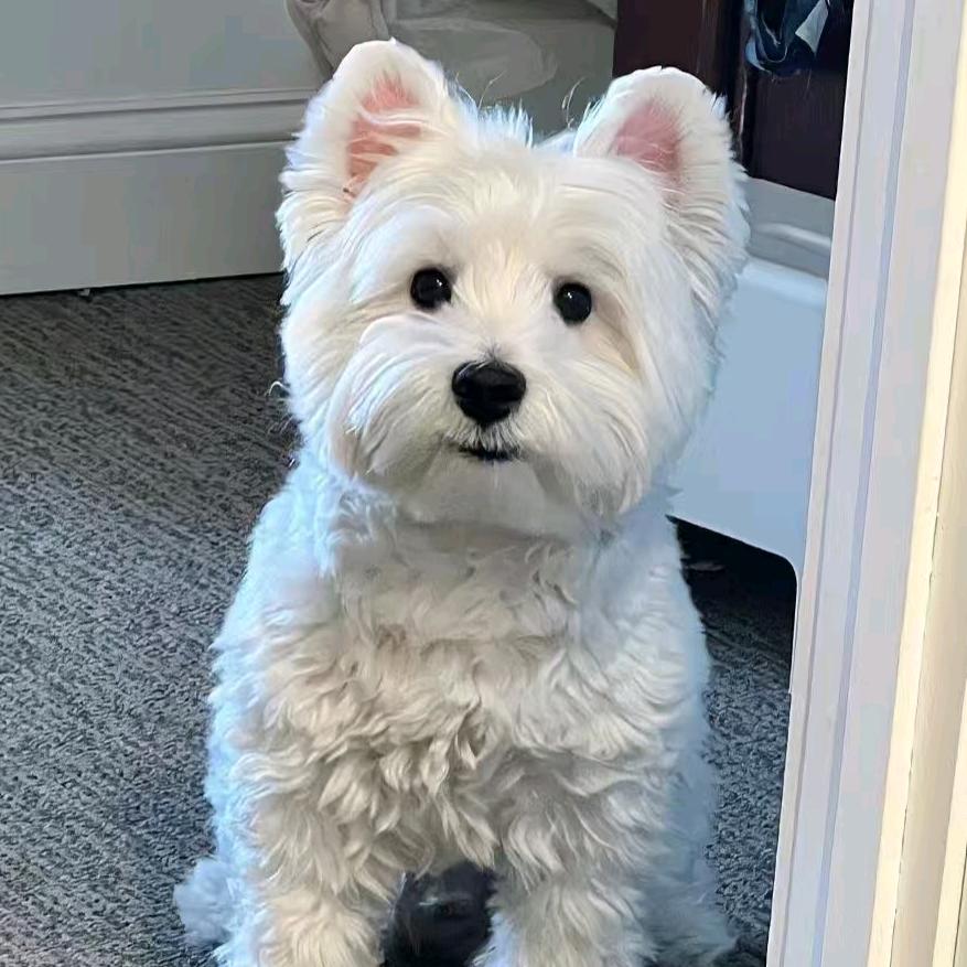 小京的打工日志