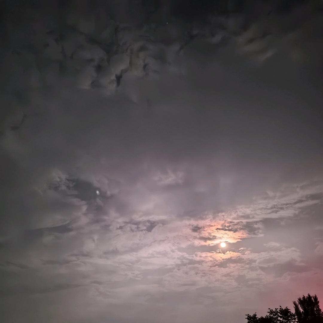 59981239204