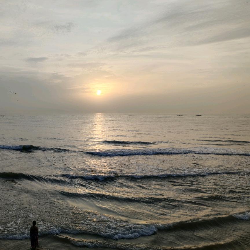 海棠花开