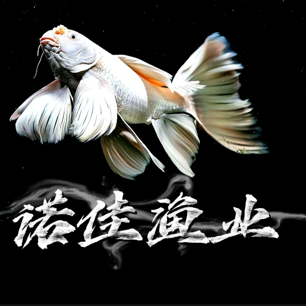 诺佳渔业