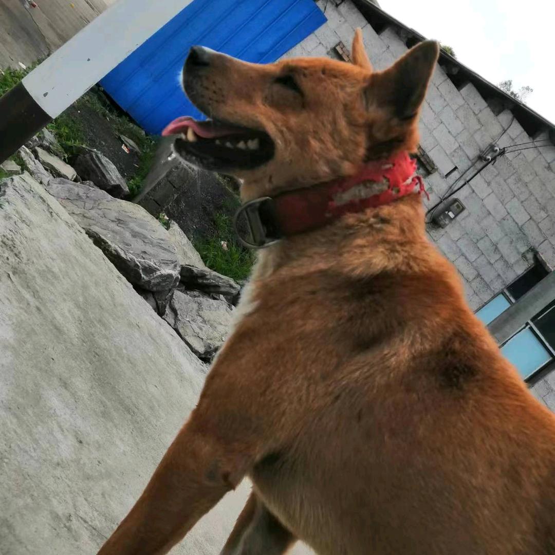 专业的人做专业的事