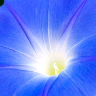 家和万事兴🌺🌺