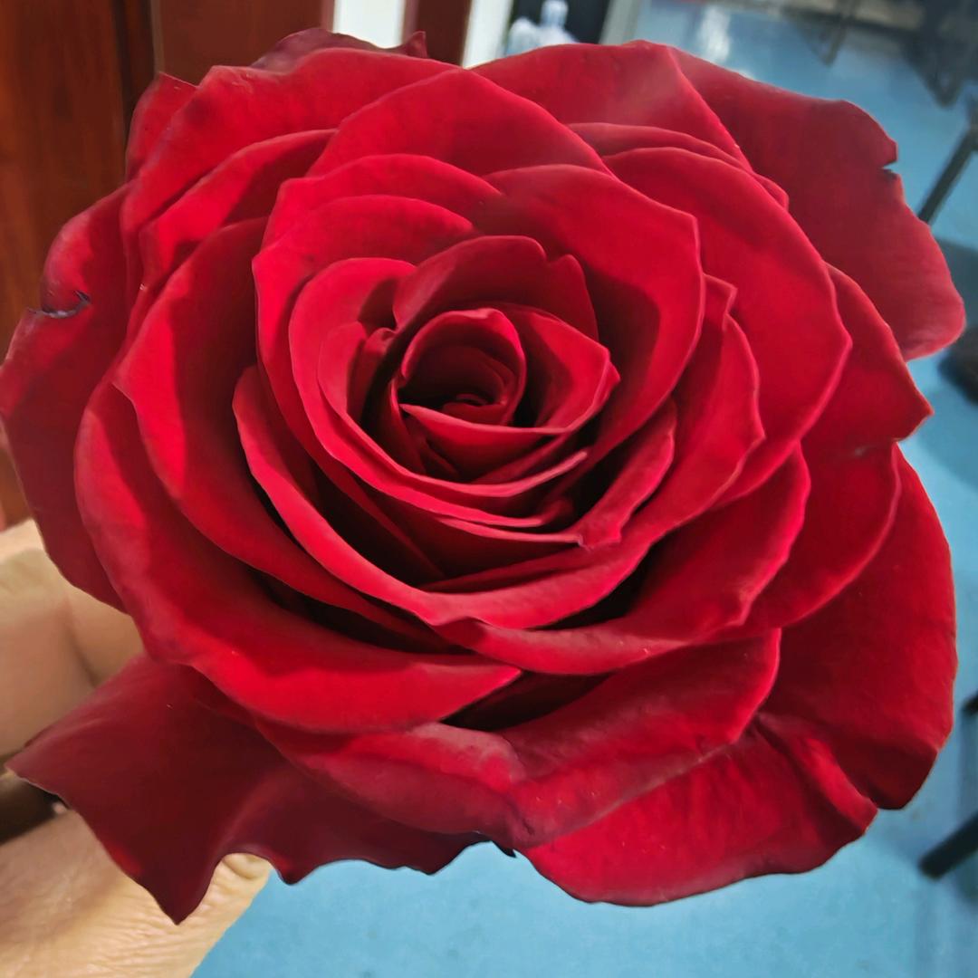 ε٩深爱(๑> 而不₃ <)纠缠۶ з