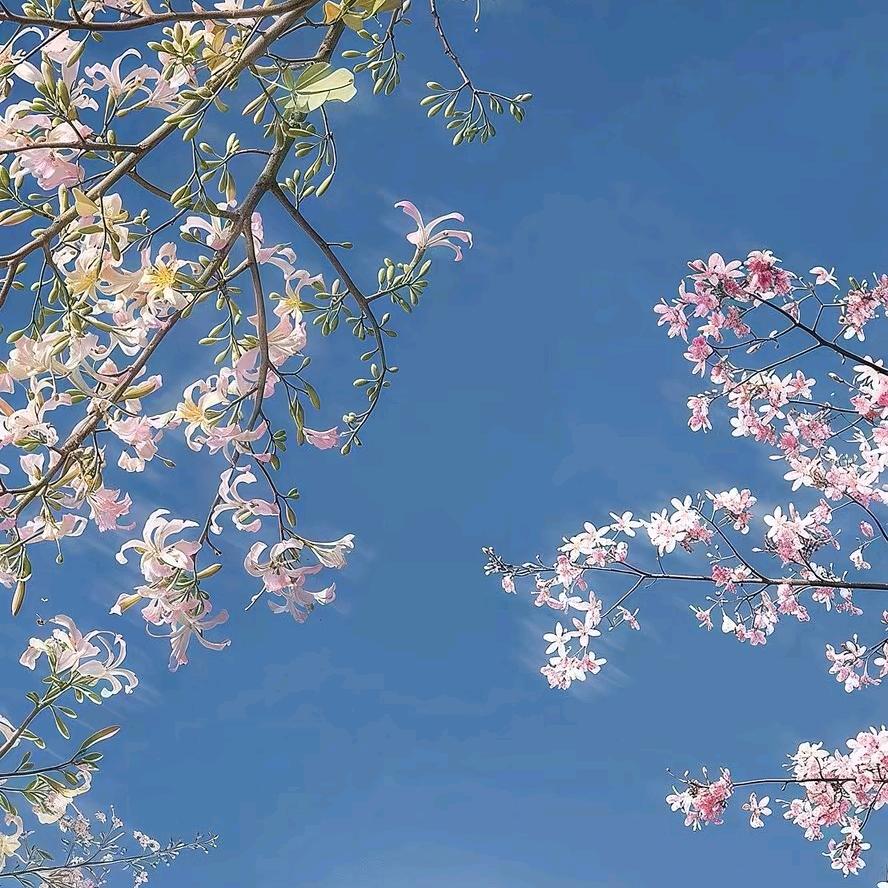 最初