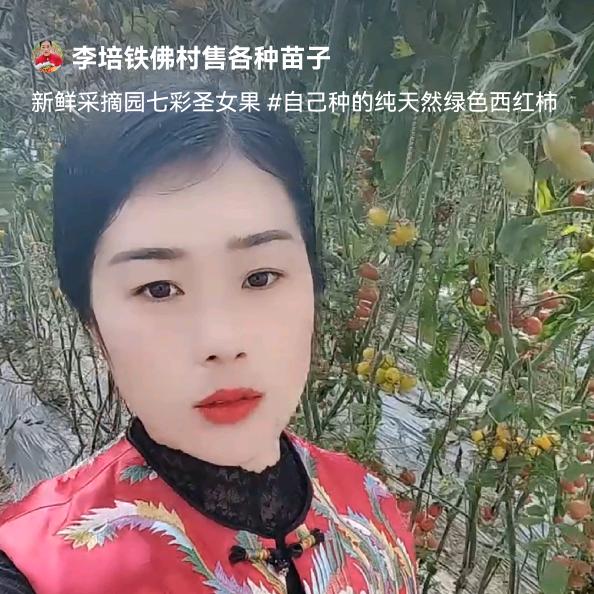 李培铁佛村绿珠农业