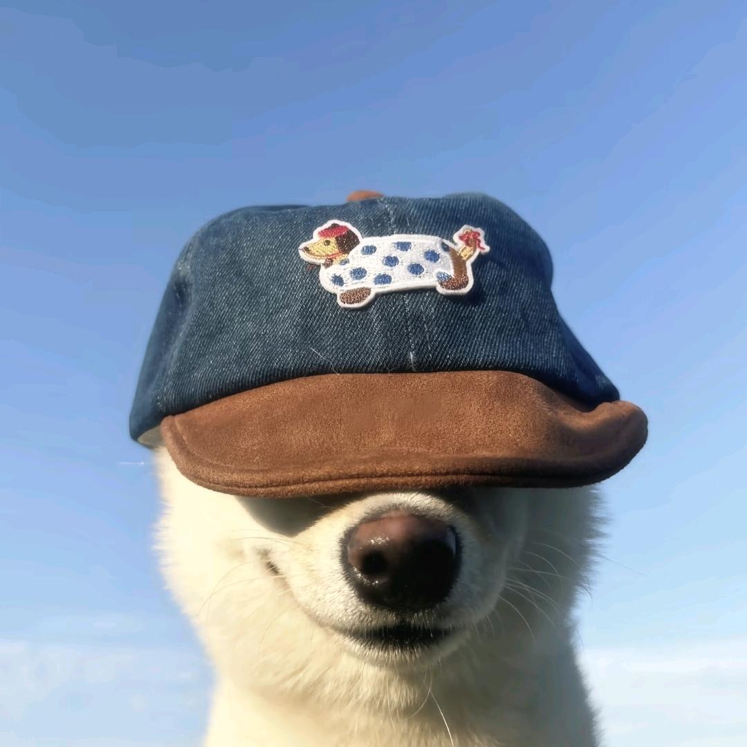 （-4,3）