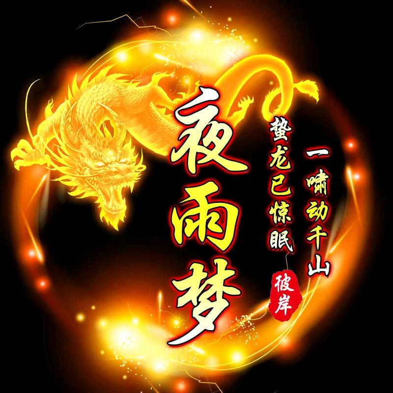 ╭(╯夜雨梦╰)╮