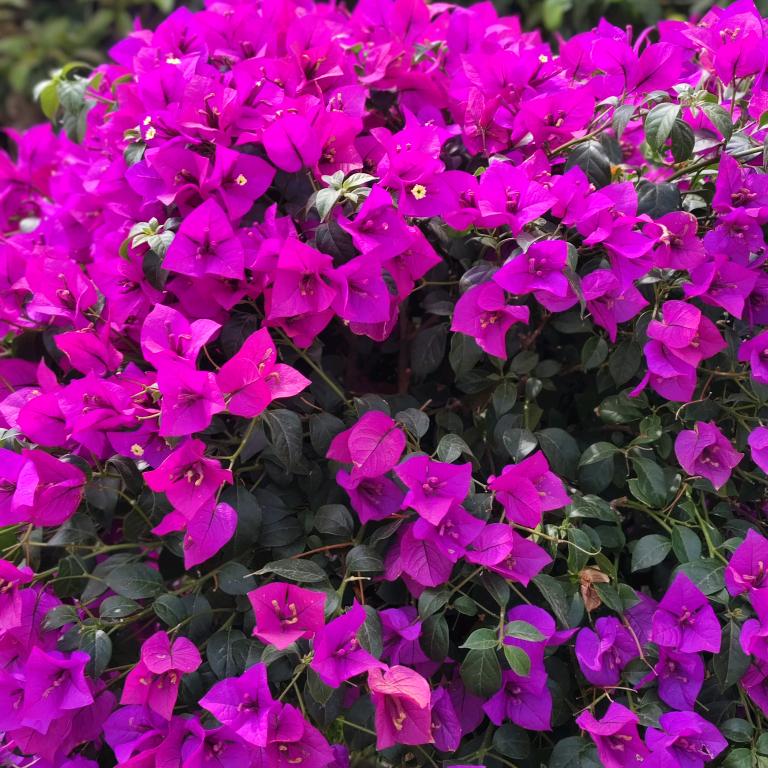 用户3018067788468梦醒伤人心