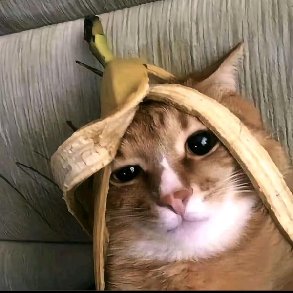 ...   ....