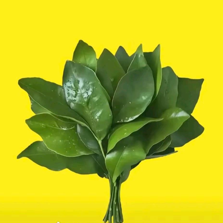 静姐的朋友圈