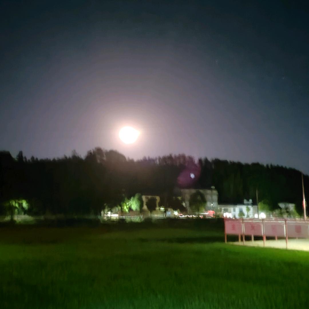 🌺晴空万里💅