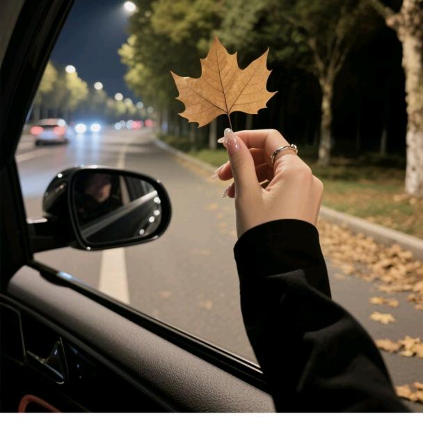 枫叶🍁