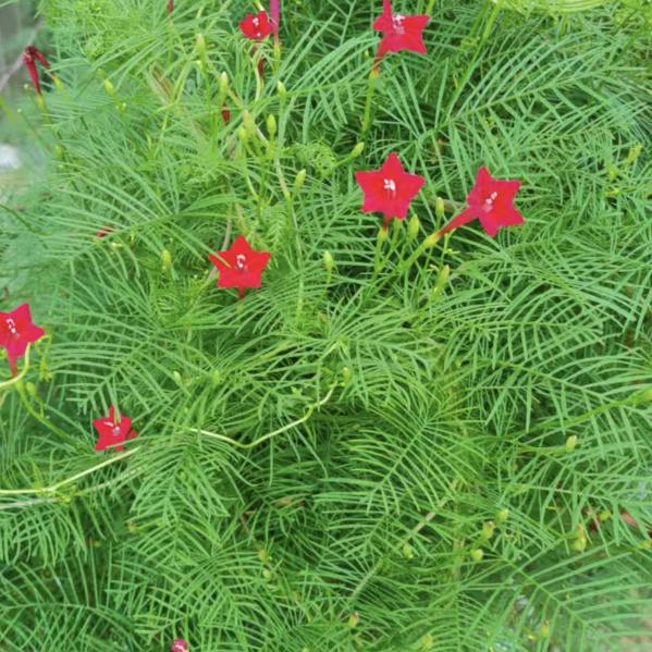 幸福人生🌹