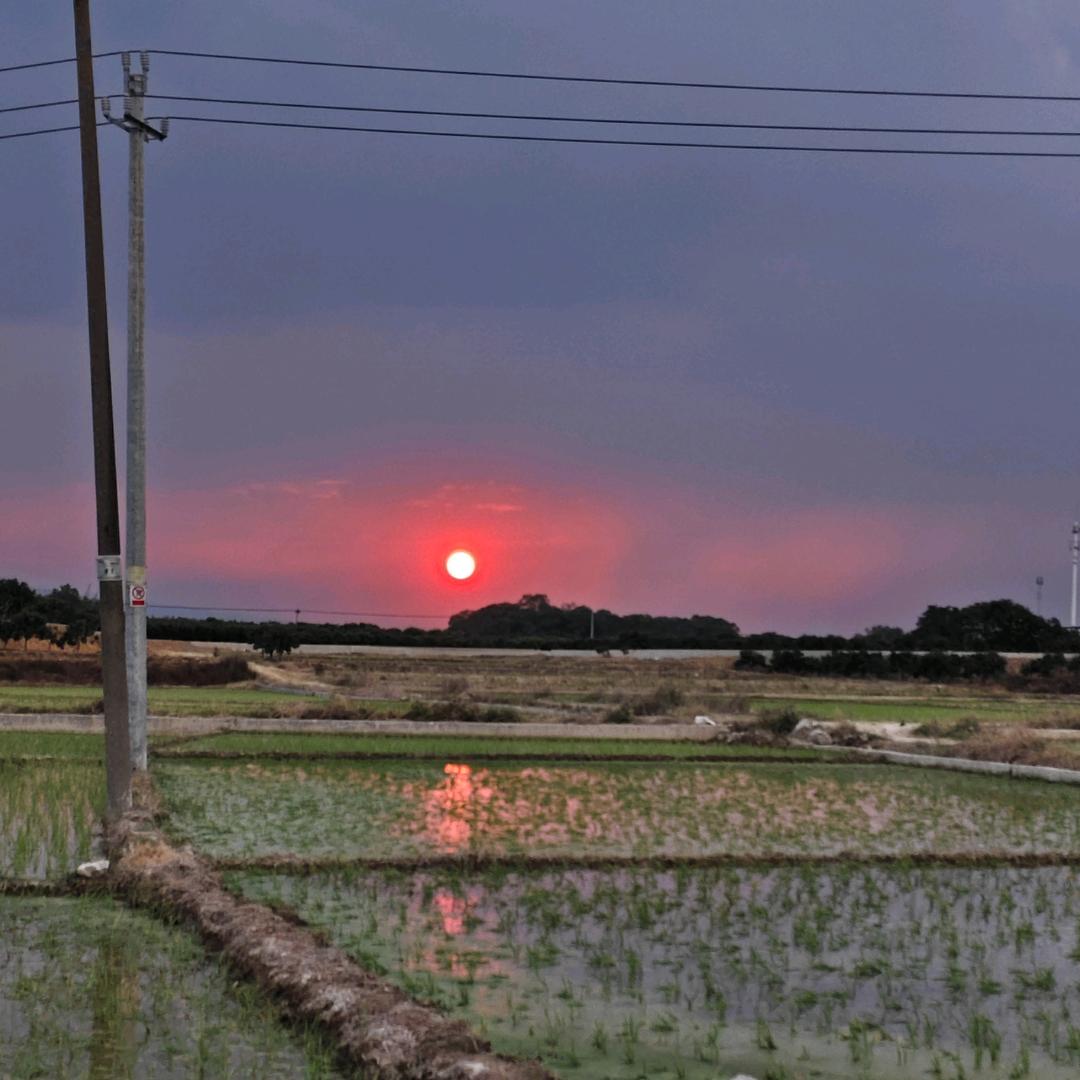 小炫