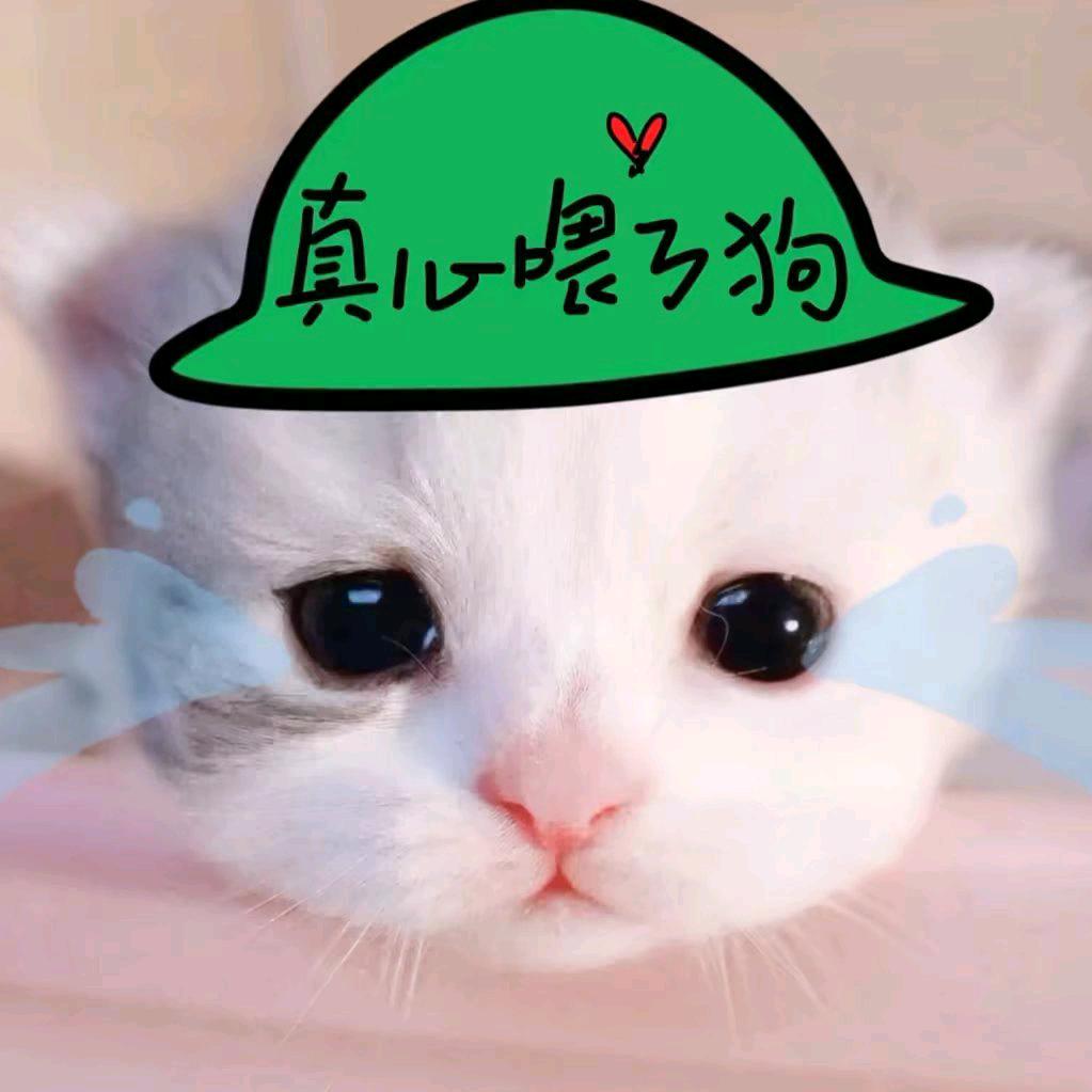 卜卜芽