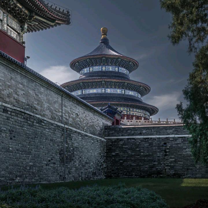 实验室小熊猫出击