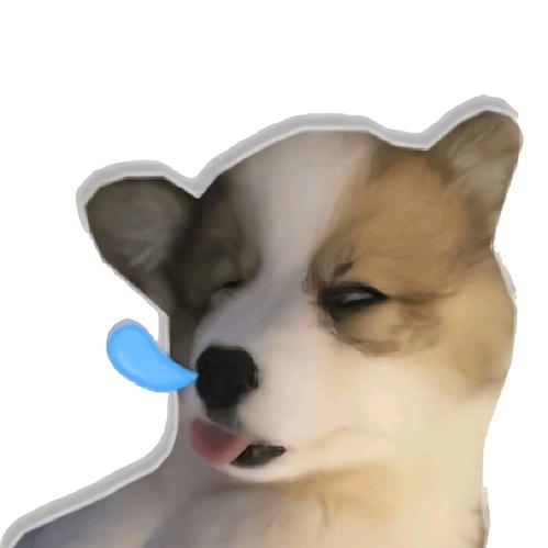 摸不到篮网