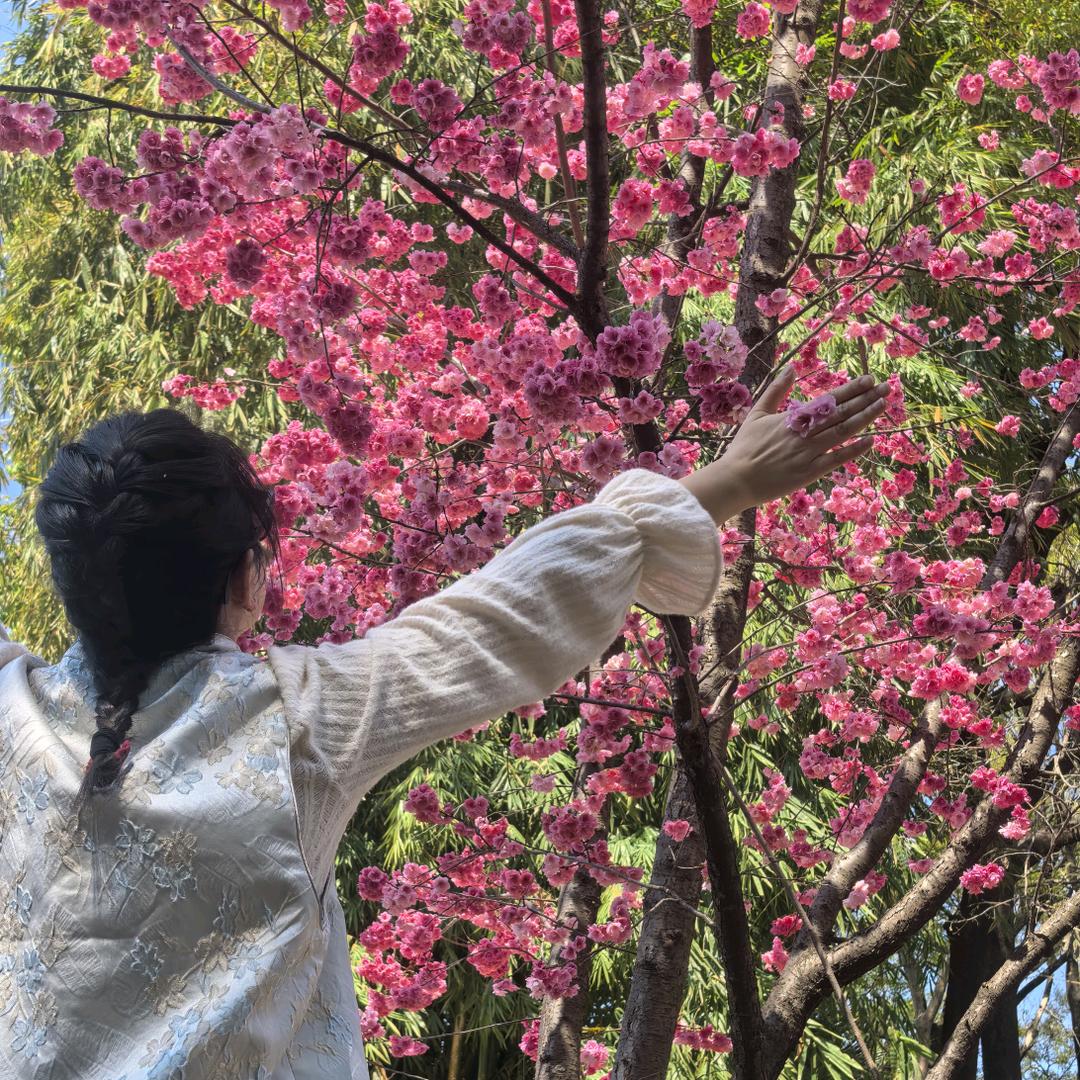 💓cherry💓