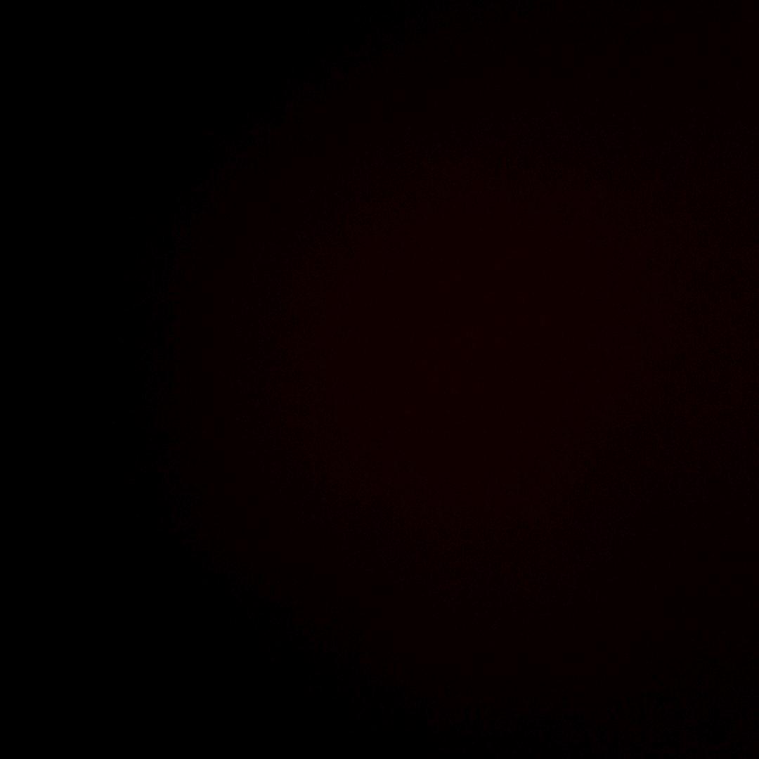 老鼠王