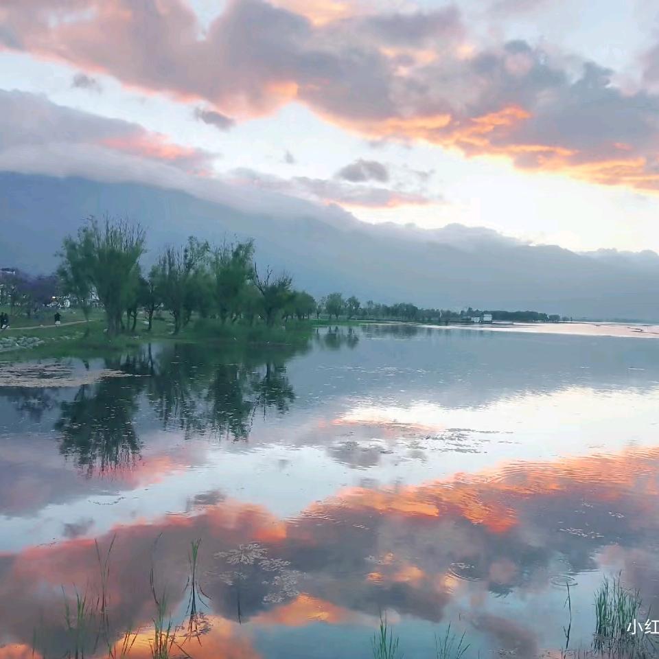 天天天天看到你