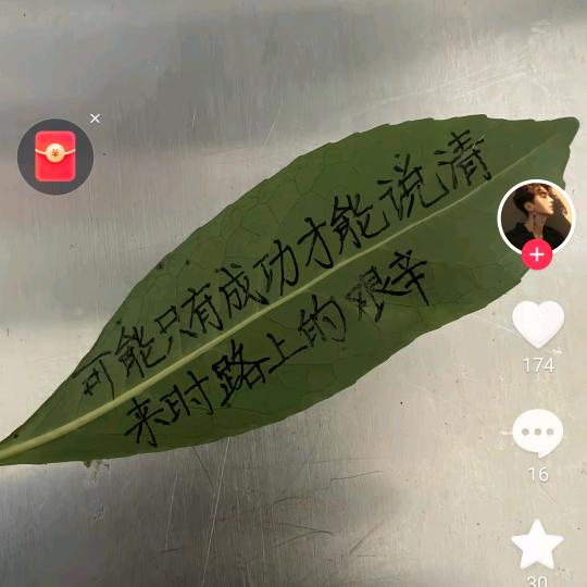 厨儿