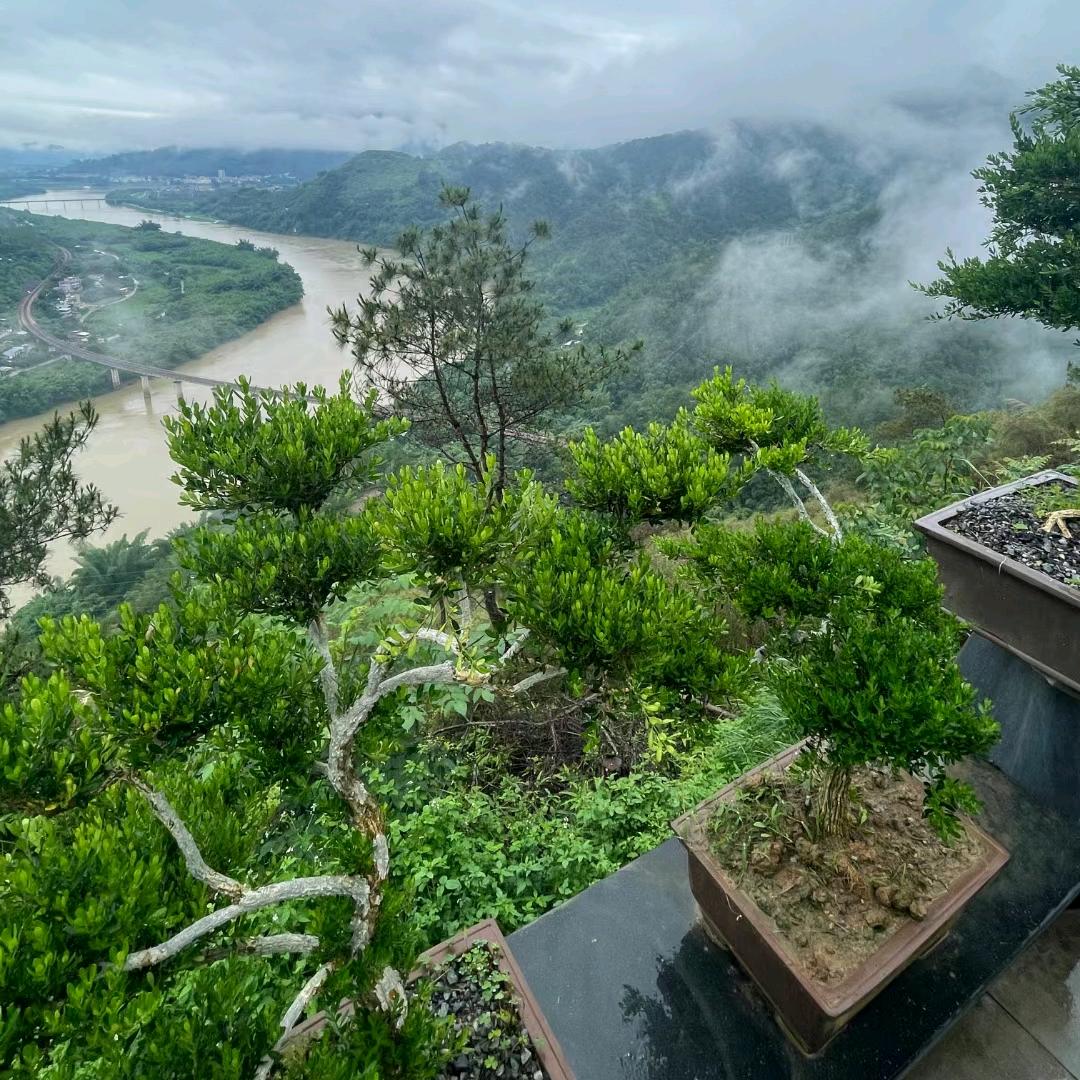 封心。拒绝私聊