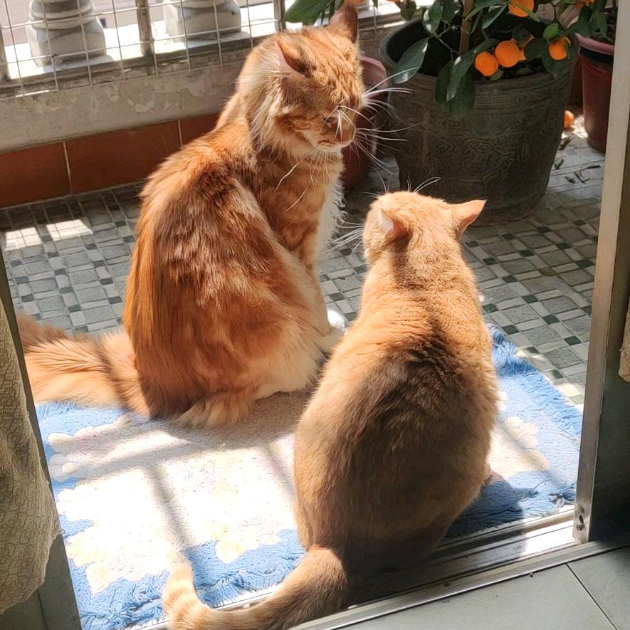 潮流好物分享厨窗