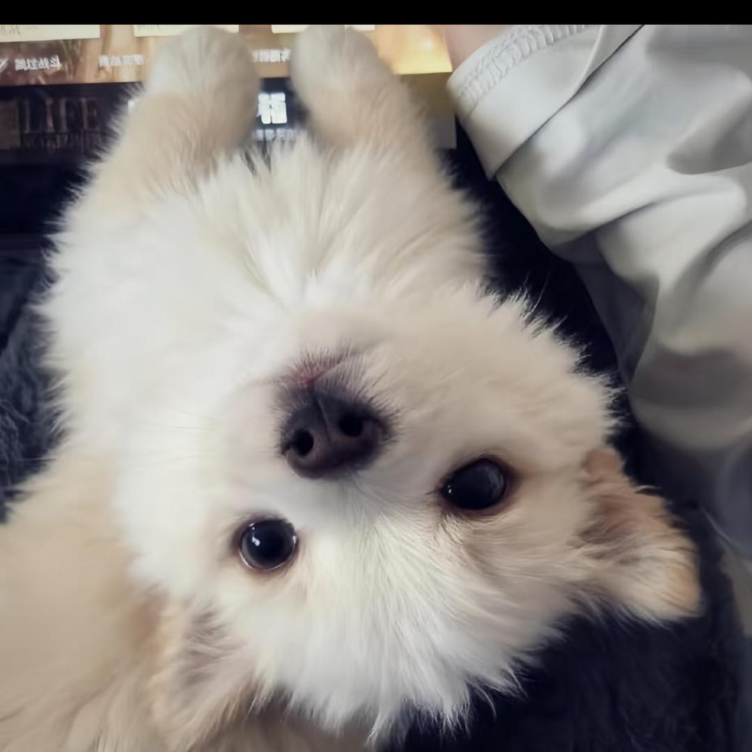 ～