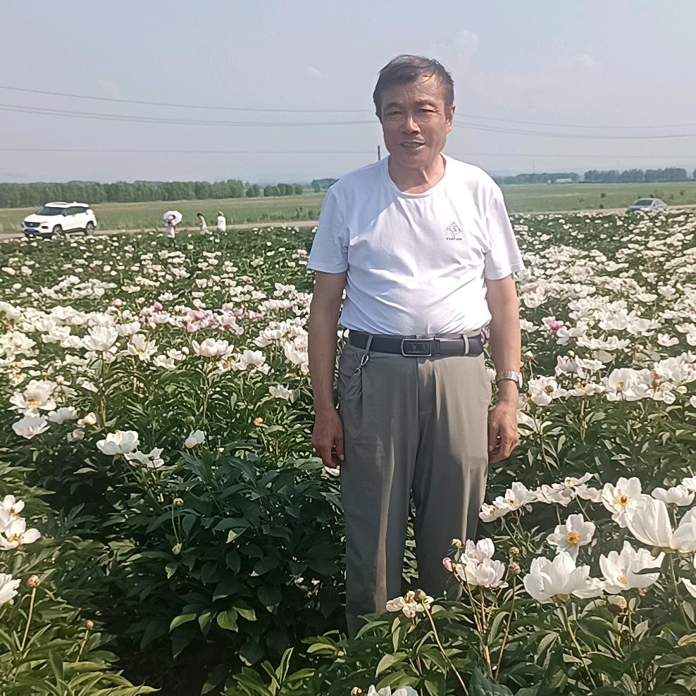梓涵