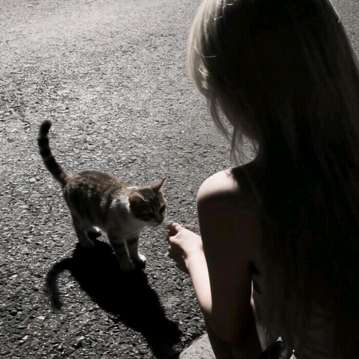 一个劲的叭叭