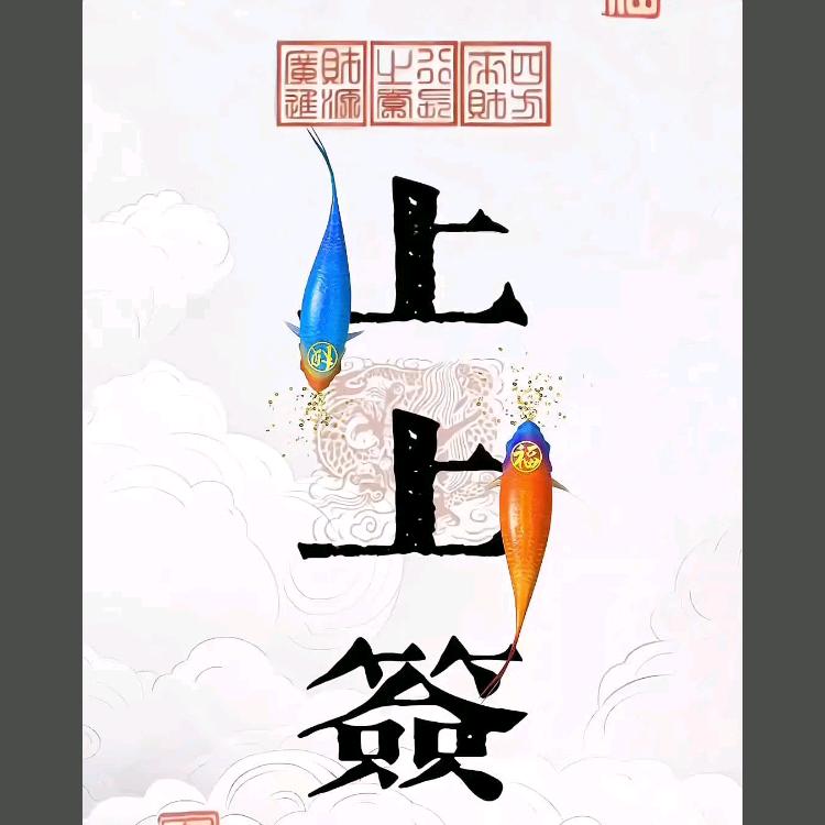 沐风(上上签)✨