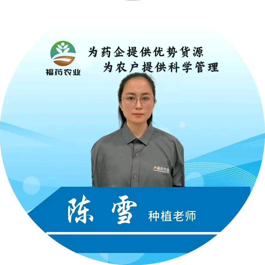 福耀农业陈雪3
