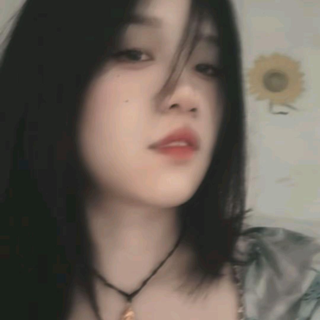 猪咪是个夹子咪🐱