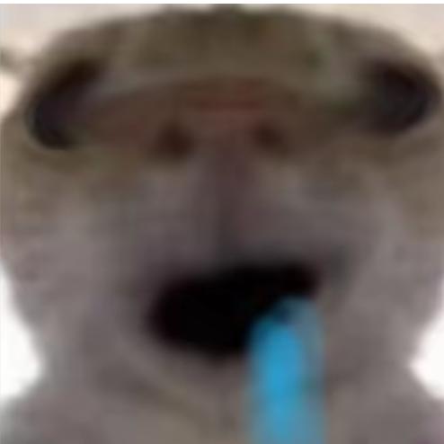 识器