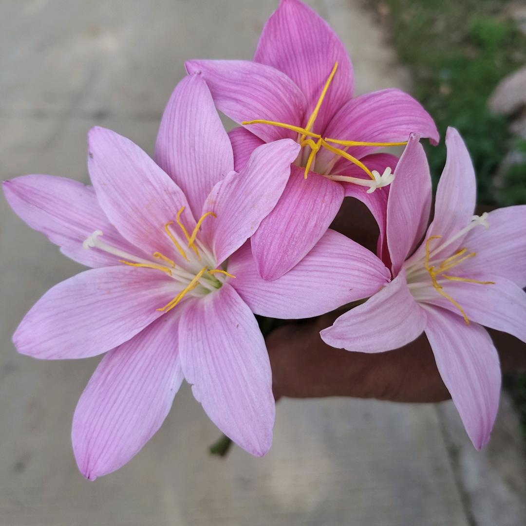 一直不讲话啊，怎么了？