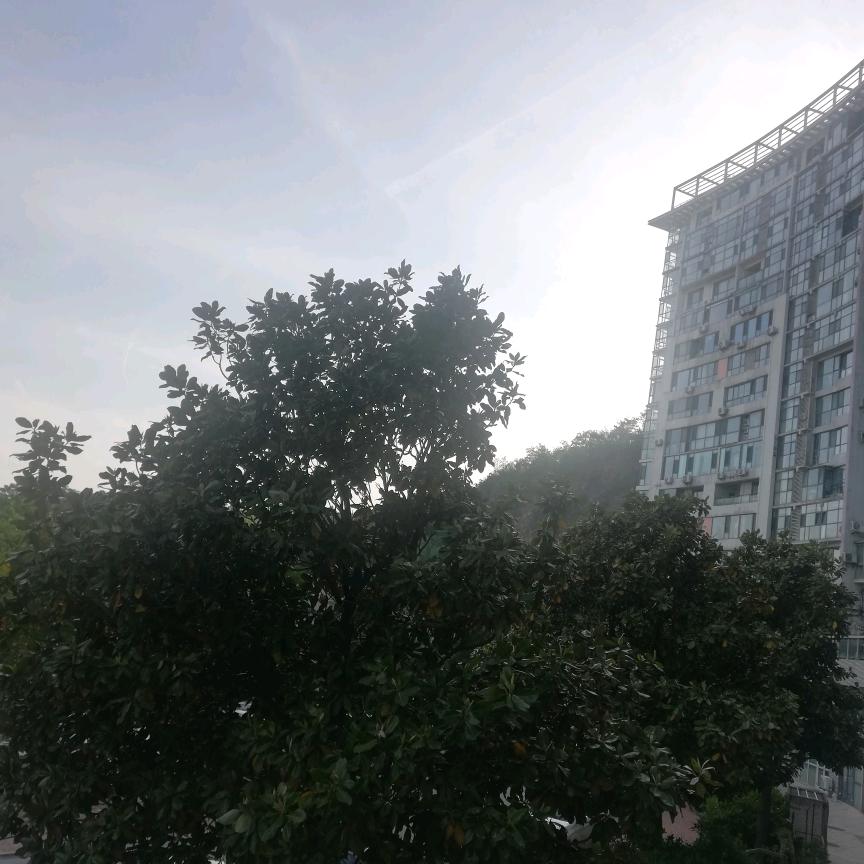 素禾禾-屾欥岏
