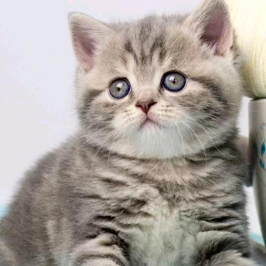 余生学会善待自己