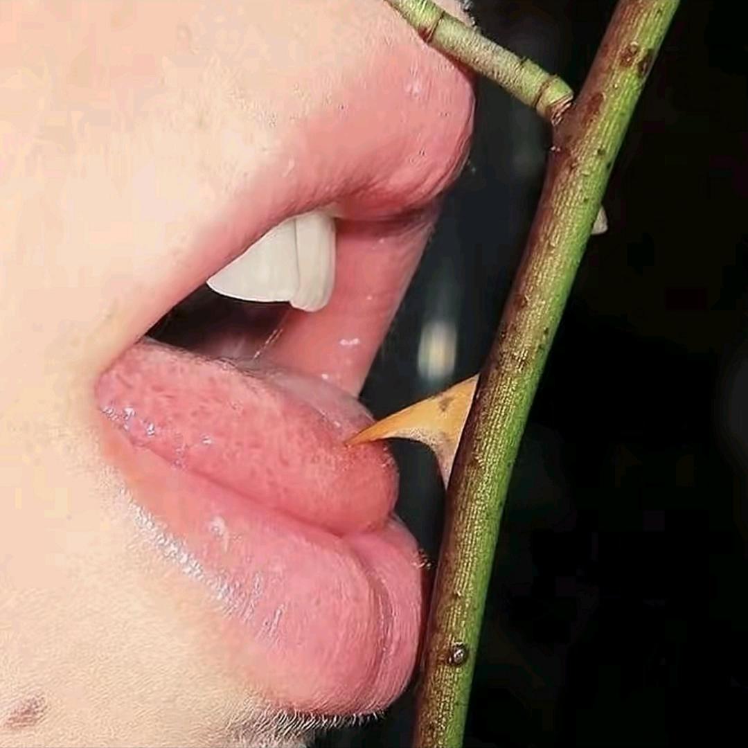滚啊