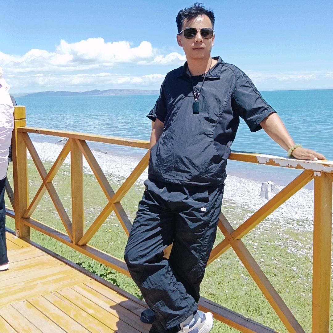 青海省藏羊交易 代办待收