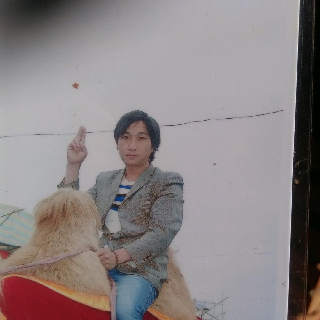 小杨哥