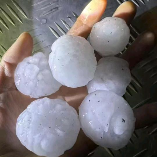 雷老大