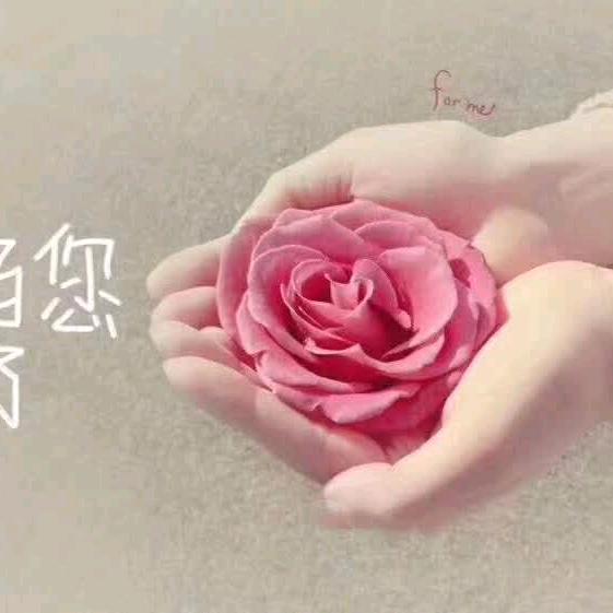 手可摘星陈😊