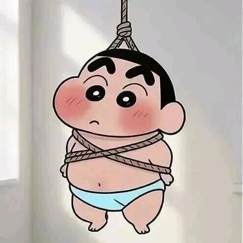 蓝桉💫