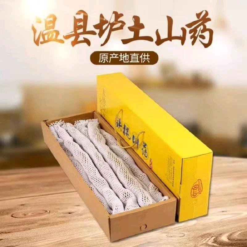 静宝儿 正宗温县铁棍山药