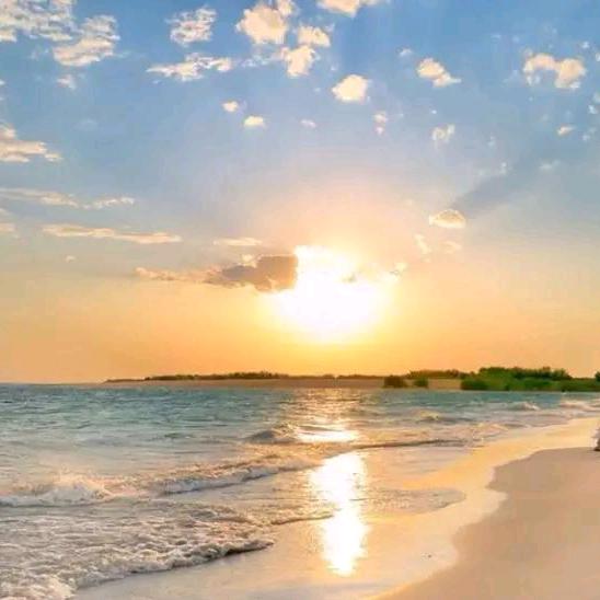 色彩化妆品(富雅东方店)伊小伊直播号