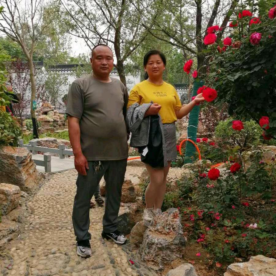 新店张三熟食小菜《边牧繁育》